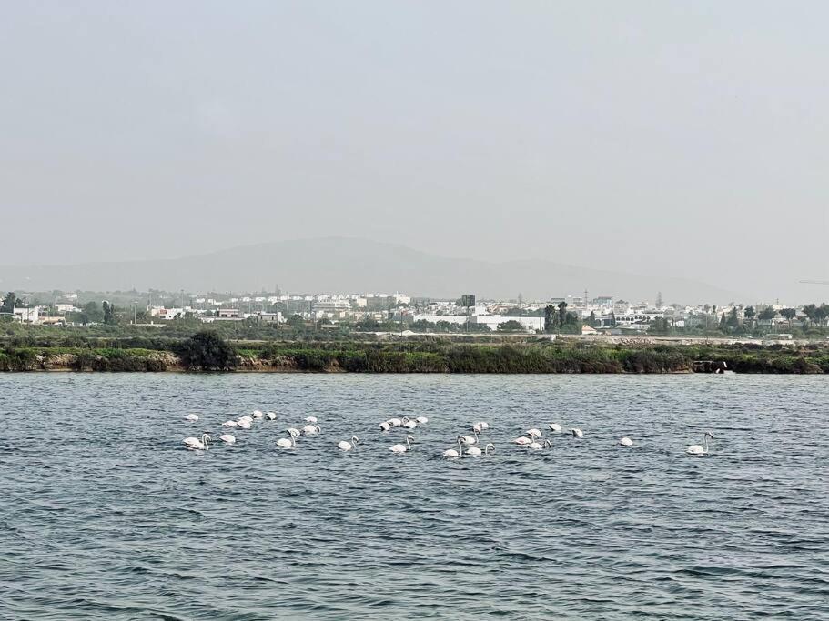 Olhao 3 Bedroom With Rooftop Pool, Marina Village Bagian luar foto